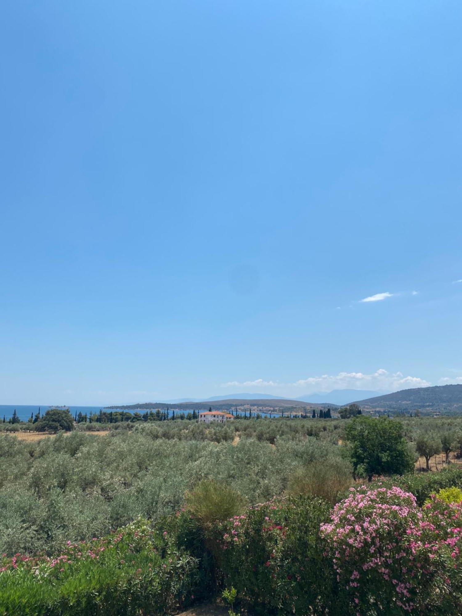 Georges Villa Galaxidi, Family, Pool And Garden Exterior foto