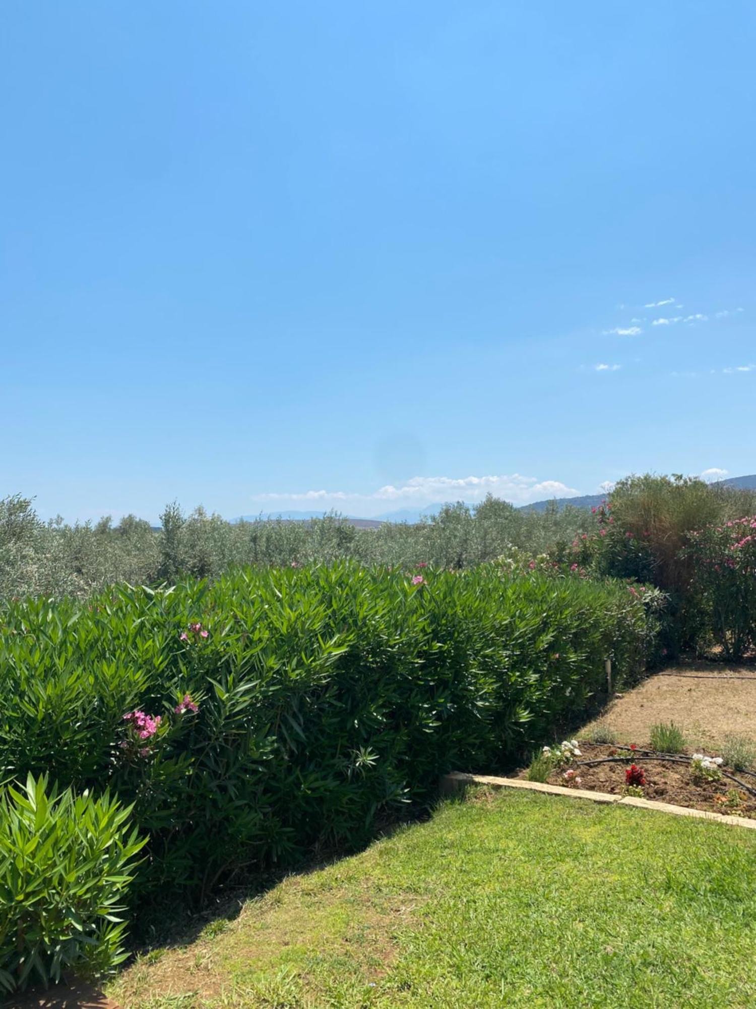 Georges Villa Galaxidi, Family, Pool And Garden Exterior foto